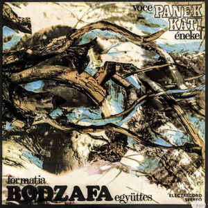 Formația Bodzafa Együttes* , Voce / Énekel Panek Kati* – Magyarózdi Népzene (1984)