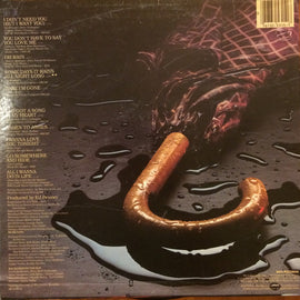 Terri Gibbs – Some Days It Rains All Night Long  (1982)     LP