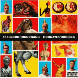 The Bloodhound Gang* ‎– Hooray For Boobies  (2000)     CD
