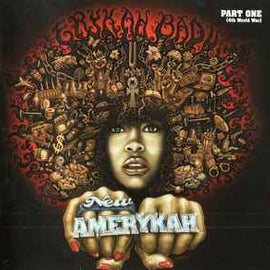 Erykah Badu ‎– New Amerykah Part One (4th World War)  (2008)     CD