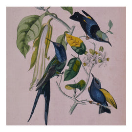 Susumu Yokota – Sakura  (2000)     CD