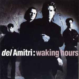 Del Amitri ‎– Waking Hours     CD