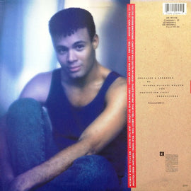 Narada* ‎– Divine Emotion  (1988)     LP