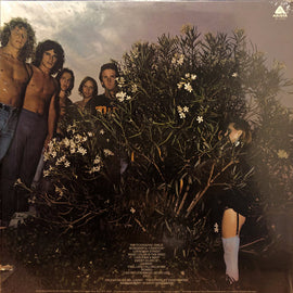 Mr. Big* – Photographic Smile  (1976)
