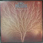 Van Der Graaf Generator ‎– Still Life  (1976)     LP