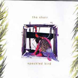The Choir ‎– Speckled Bird  (1994)     CD
