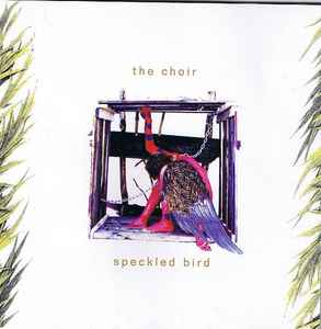 The Choir ‎– Speckled Bird  (1994)     CD