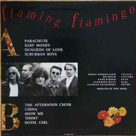 Janes Rejoice ‎– Flaming Flamingo  (1989)