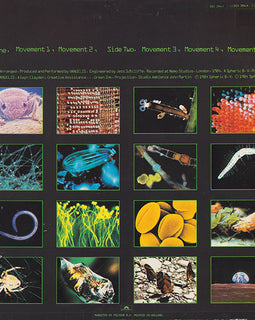 Vangelis ‎– Soil Festivities  (1984)