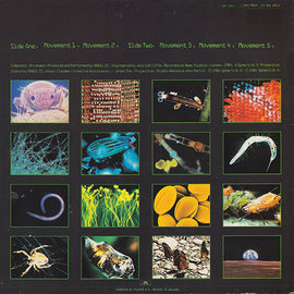 Vangelis ‎– Soil Festivities  (1984)