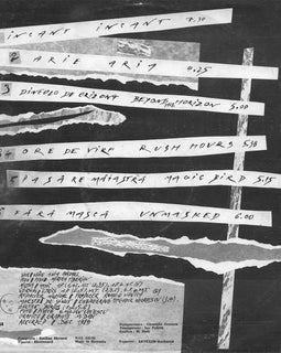 Anca Parghel, Mircea Tiberian ‎– Magic Bird  (1990)