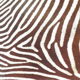 R-GO ‎– Rég Várok Valakire  (1986)