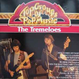The Tremeloes ‎– Top Groups Of Pop Music  (1981)