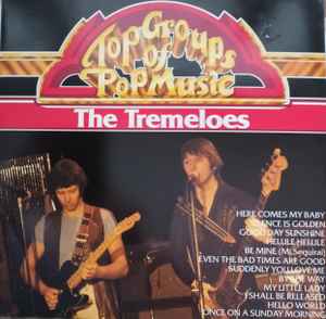 The Tremeloes ‎– Top Groups Of Pop Music  (1981)