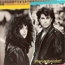 cc: DIVA ‎– Yowusupwidat?  (1988)     CD