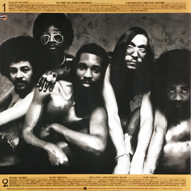 New Birth ‎– Love Potion  (1976)     LP