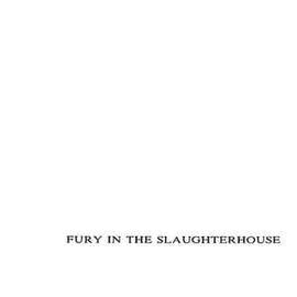 Fury In The Slaughterhouse ‎– Fury In The Slaughterhouse  (1989)     CD