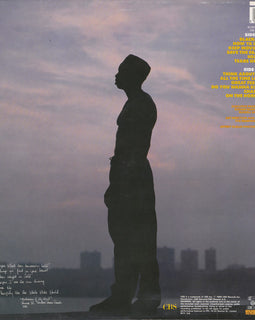Tashan ‎– On The Horizon  (1989)