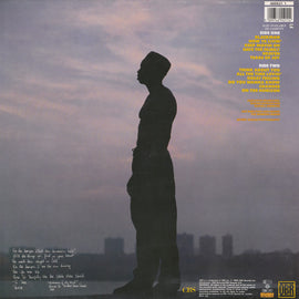 Tashan ‎– On The Horizon  (1989)
