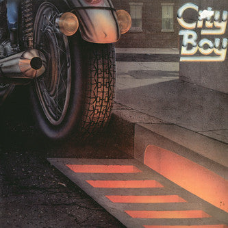City Boy ‎– The Day The Earth Caught Fire  (1976)