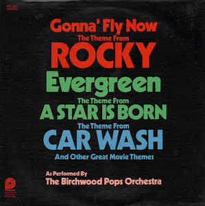 Birchwood Pops ‎– Gonna Fly Now / Evergreen / Car Wash  (1976)