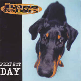 Impotators ‎– Perfect Day  (1995)