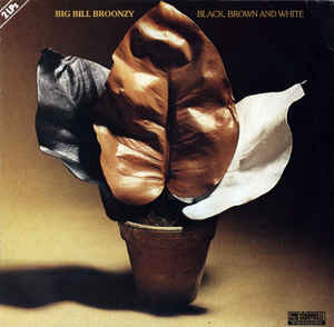 Big Bill Broonzy ‎– Black, Brown And White  (1978)