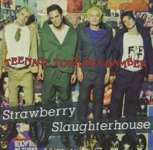 Strawberry Slaughterhouse ‎– Teenage Torturechamber  (1994)     CD