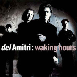 Del Amitri ‎– Waking Hours  (1990)