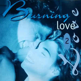 Various ‎– Burning Love - 2 (1993)