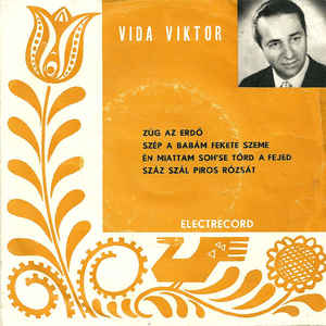 Vida Viktor (2) ‎– Zúg Az Erdő (1972)